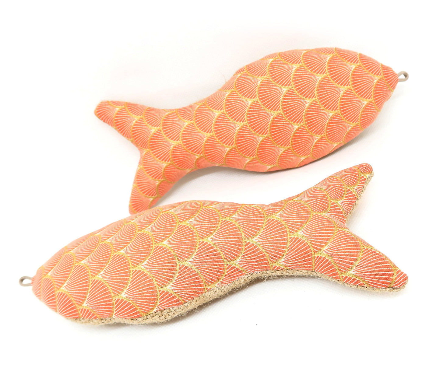 Fish&Kick Saumon
