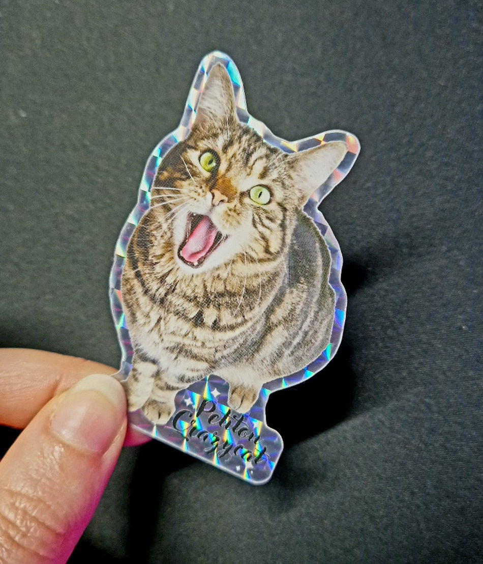 Sticker Petitou Crazycat