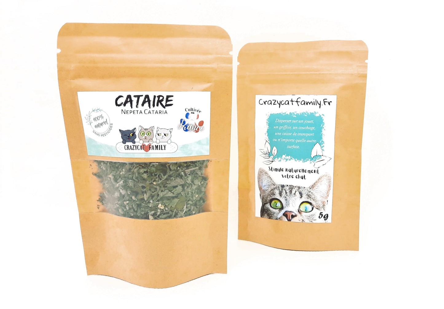 Cataire (menthe à chat) cultivée en France sans pesticides