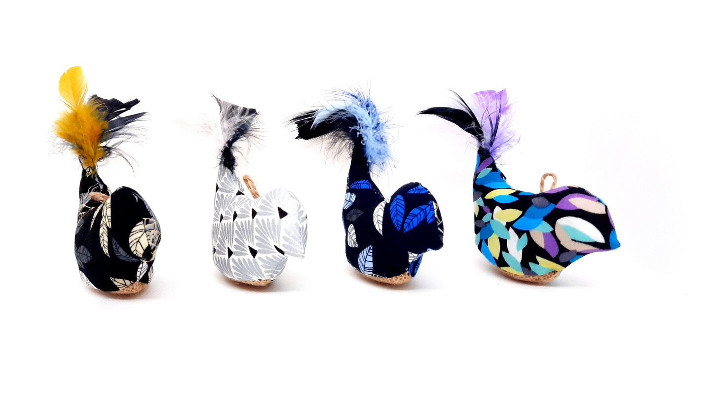 Fifi l'oiseau arlequin