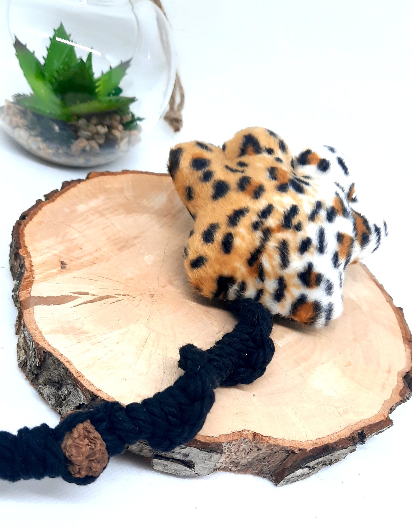 Patoune à corde
