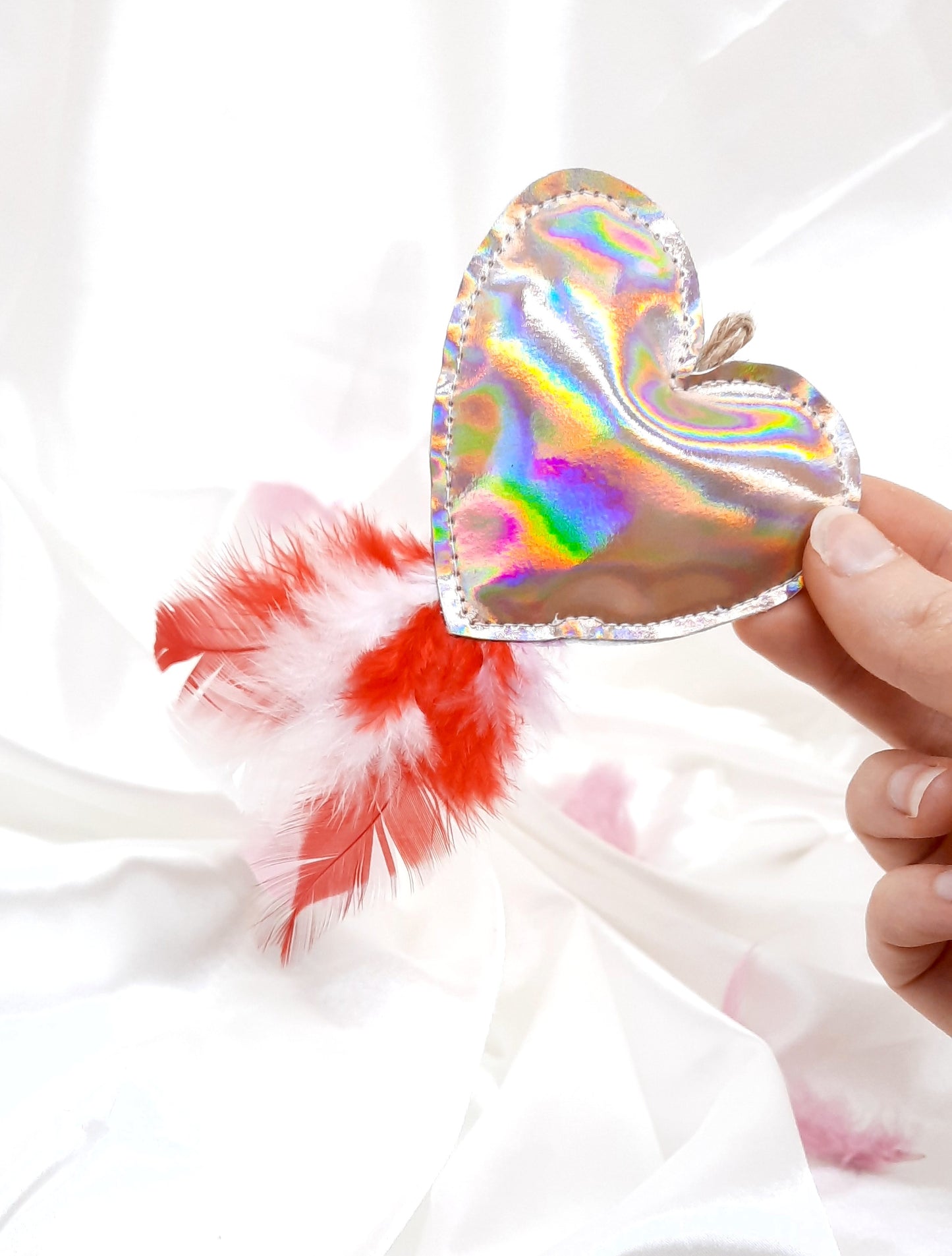 Crazycanne cœur holographique
