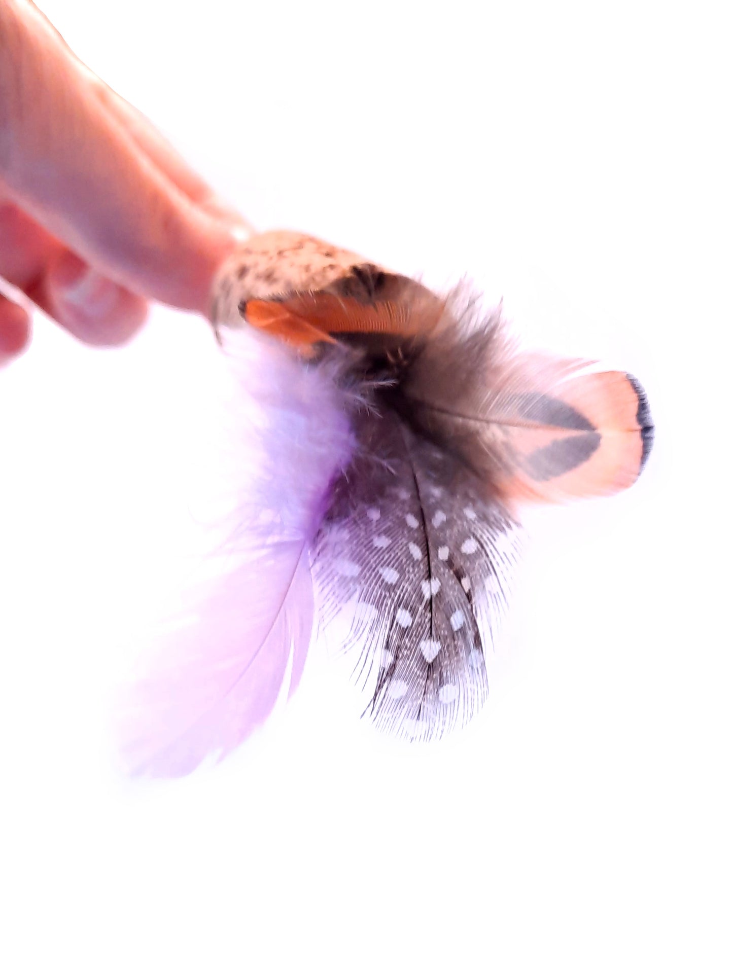 Crazycanne Plumes (Couleur au choix)