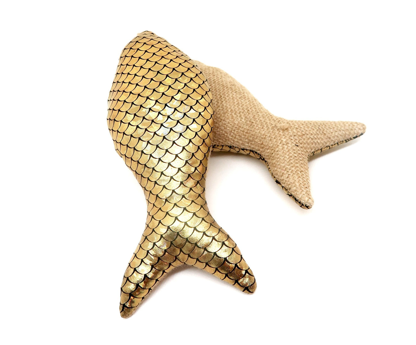 Kick & Fish Or