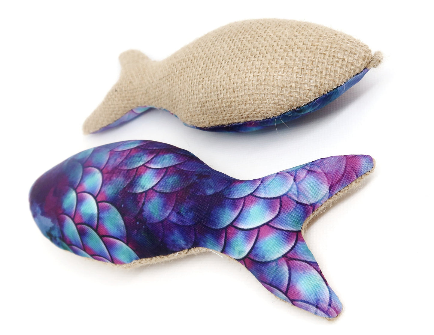 Fish&Kick Arc-en-ciel le poisson