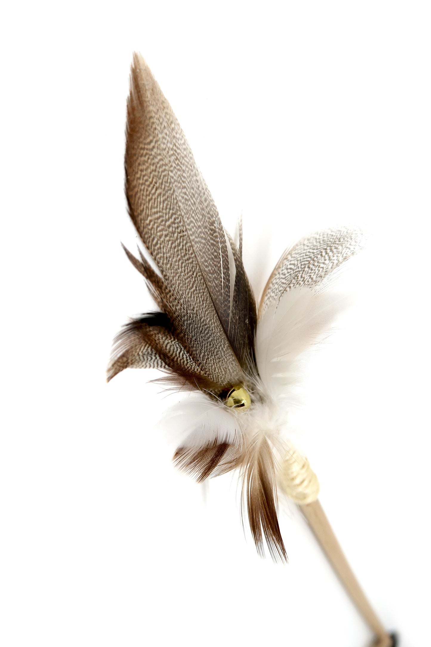 Plumeau longues plumes
