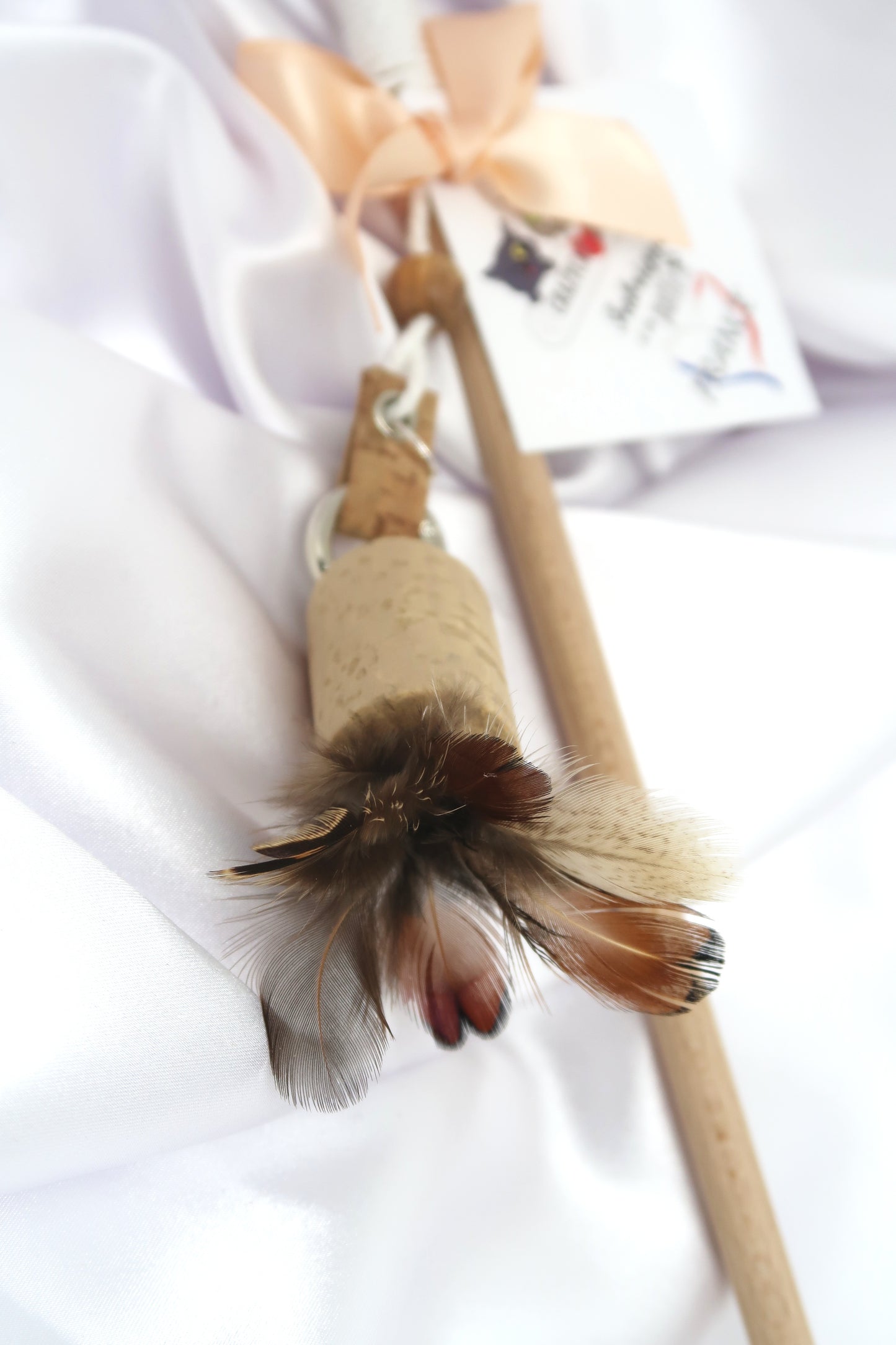 Crazycanne Plumes (Couleur au choix)