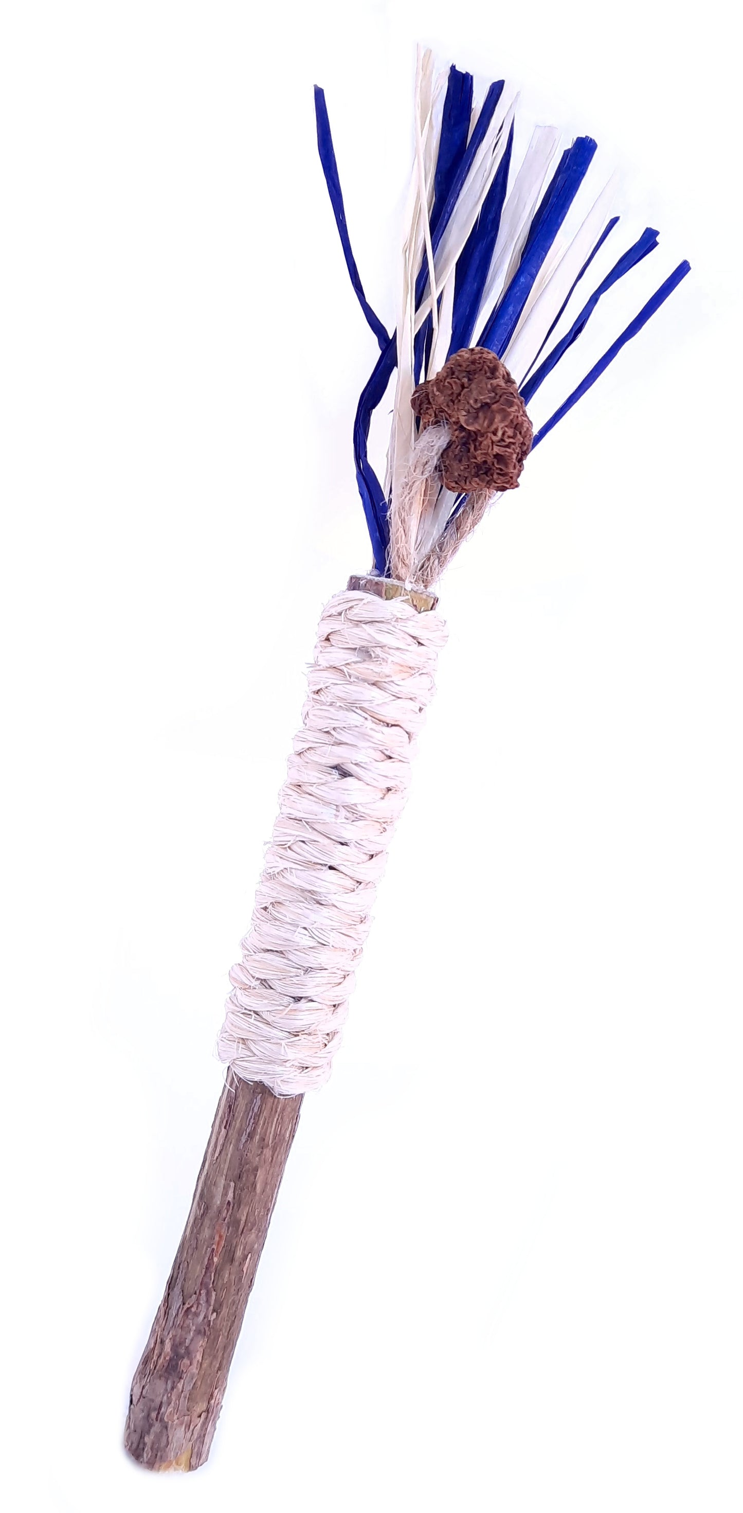 Crazystick Frutti Bleu Electrique
