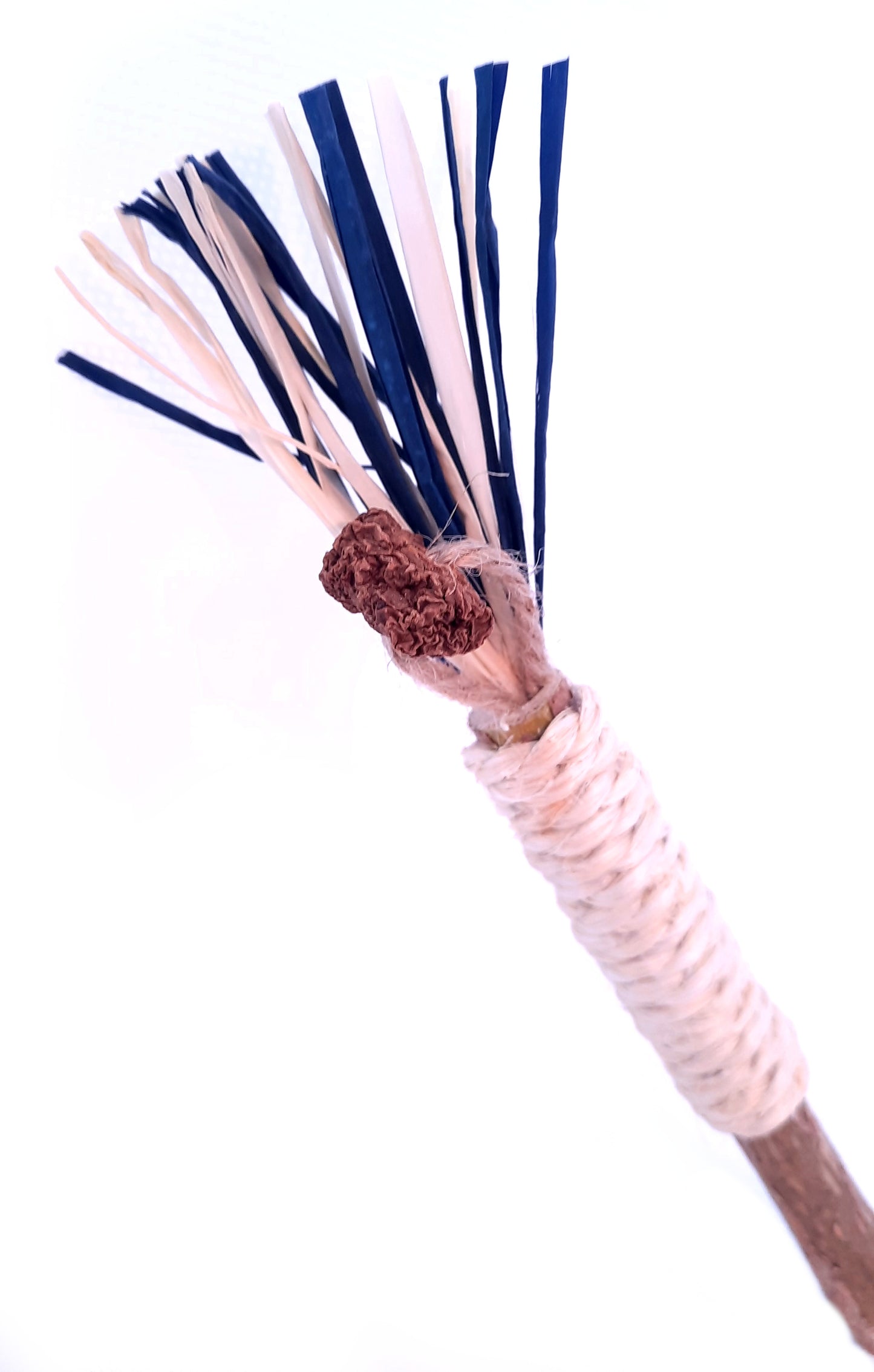 Crazystick Frutti Bleu Electrique