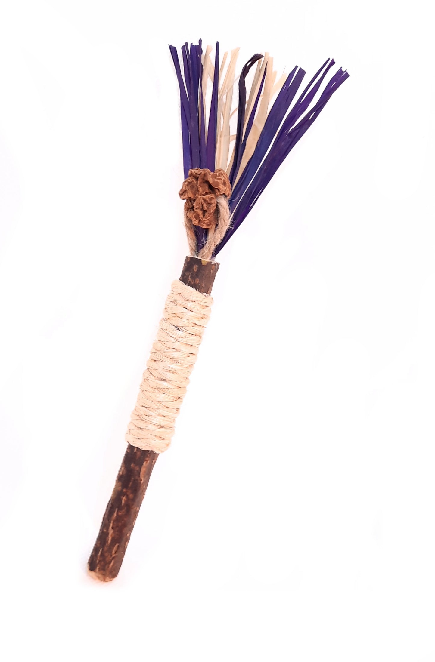 Crazystick Frutti Violet