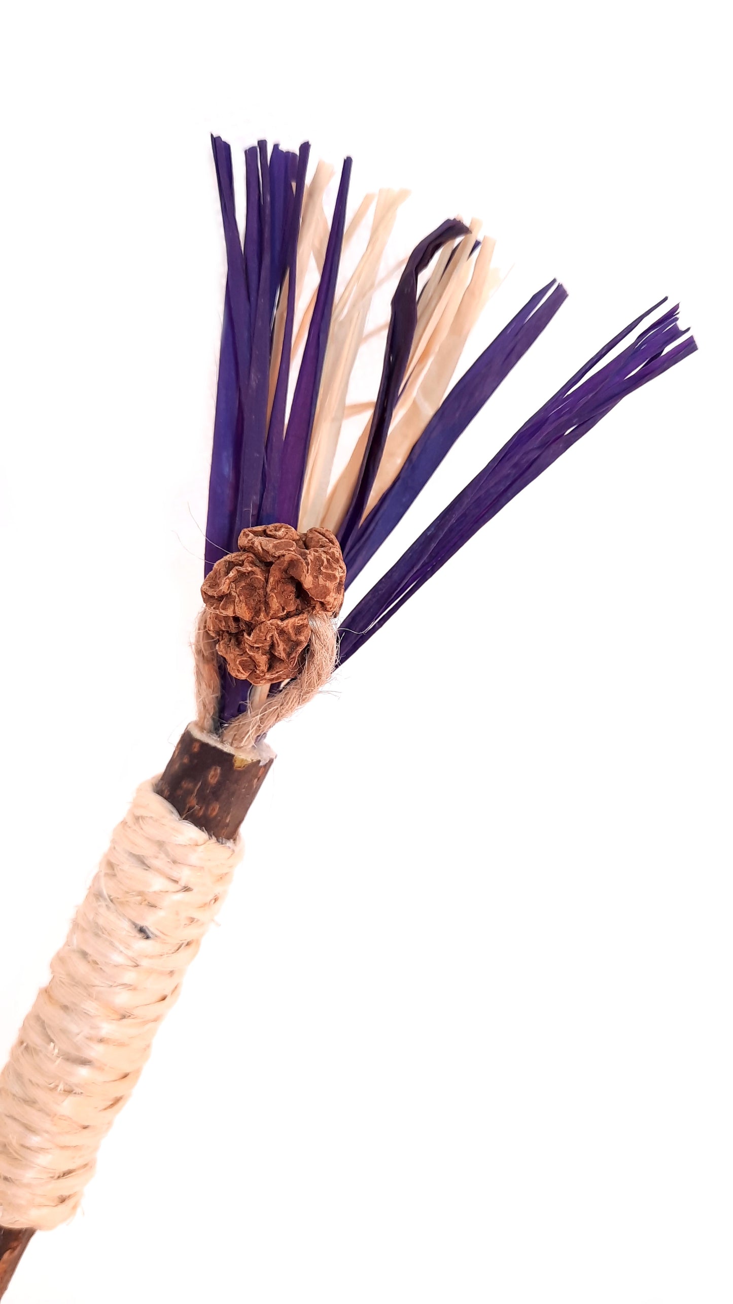 Crazystick Frutti Violet