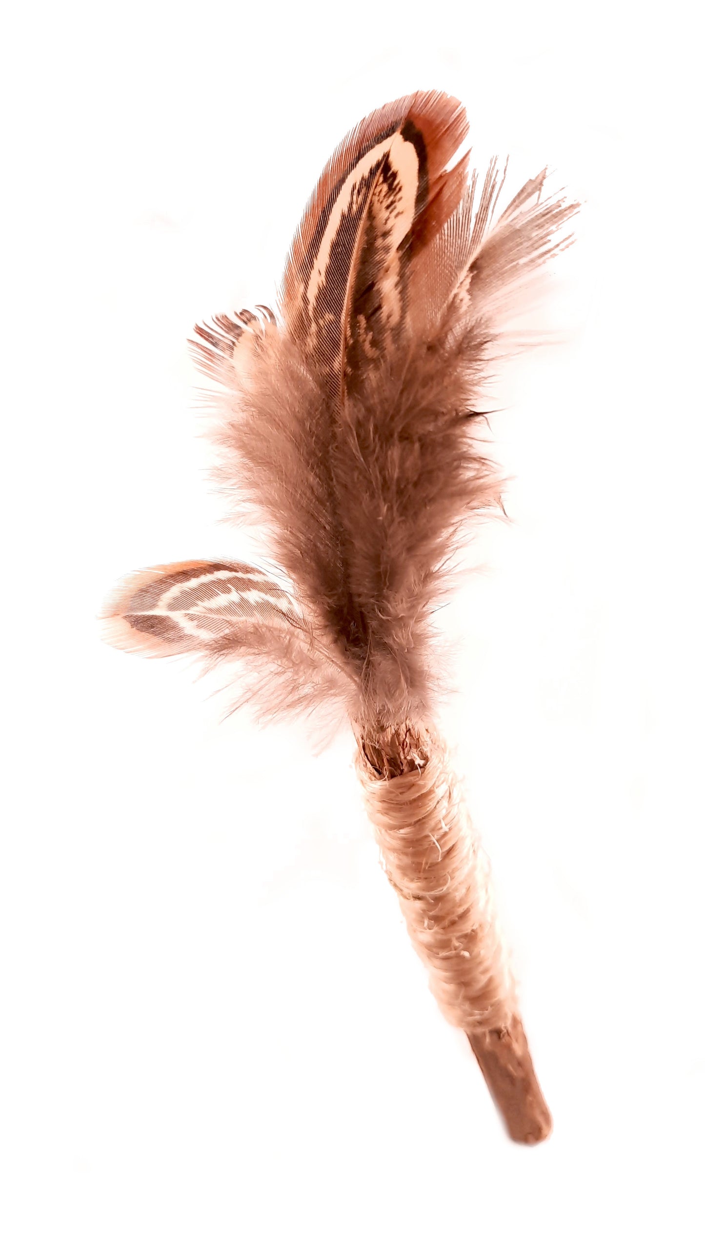 CrazyStick Bébé
