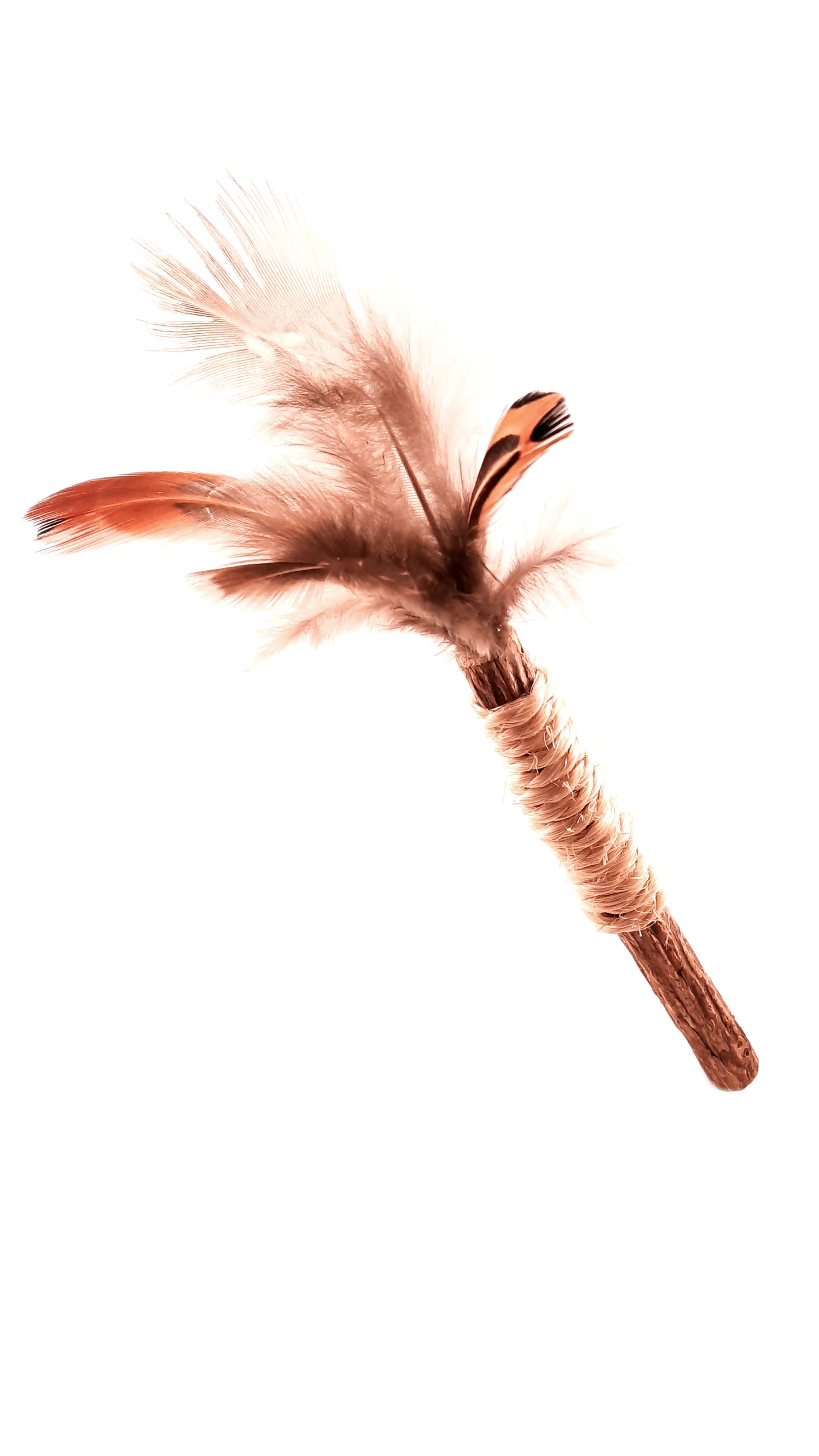 CrazyStick Bébé
