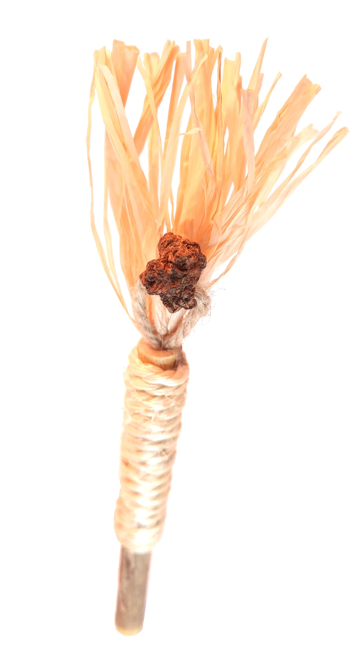 Jouet matatabi Crazystick Frutti