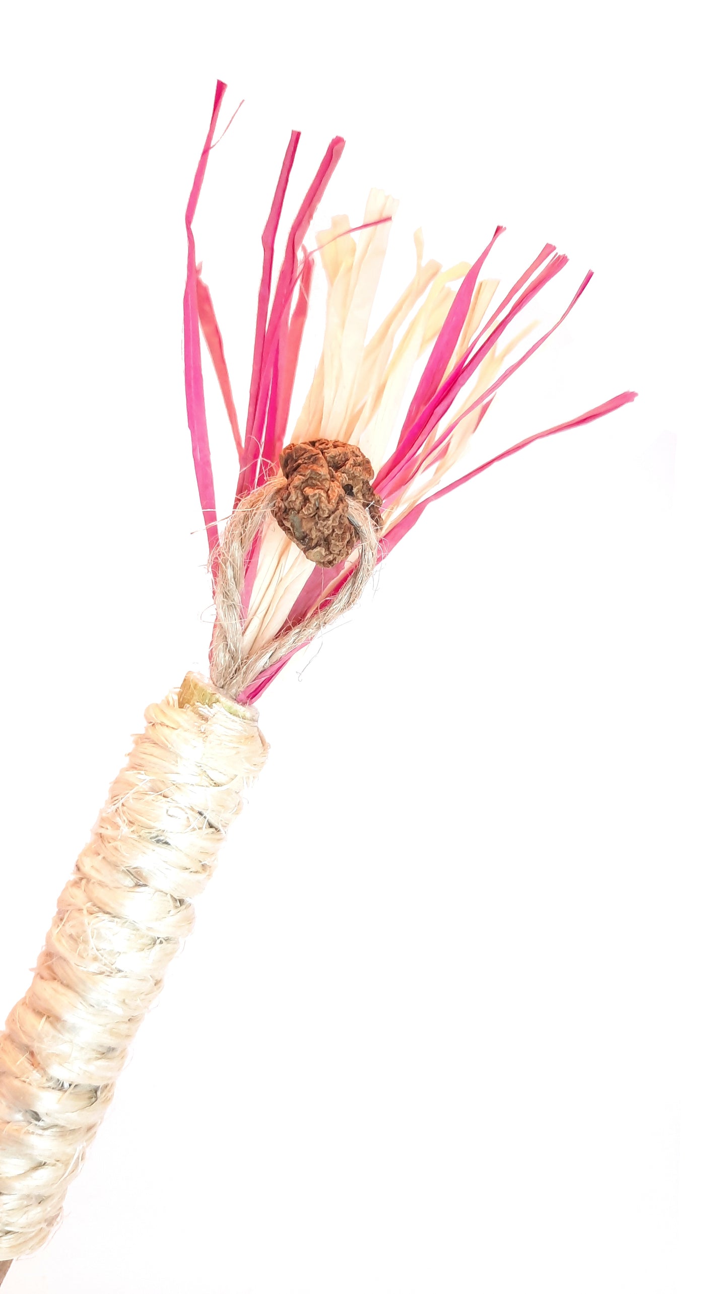 Crazystick Frutti Rose