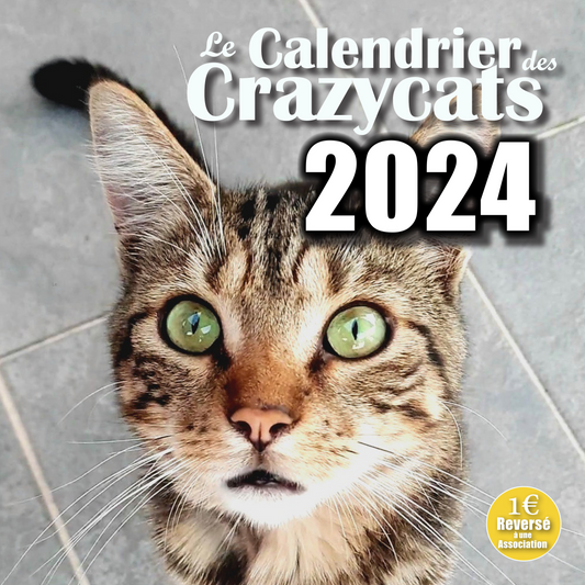 Calendrier des Crazycats 2024