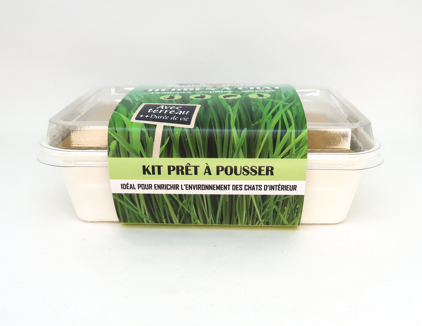 Kit d'herbe à chat (à faire pousser)