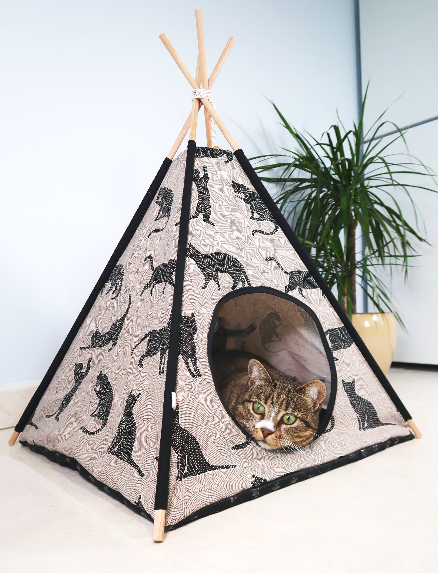 Tipi chats noirs