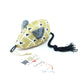 Souris brillante