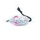 Souris brillante