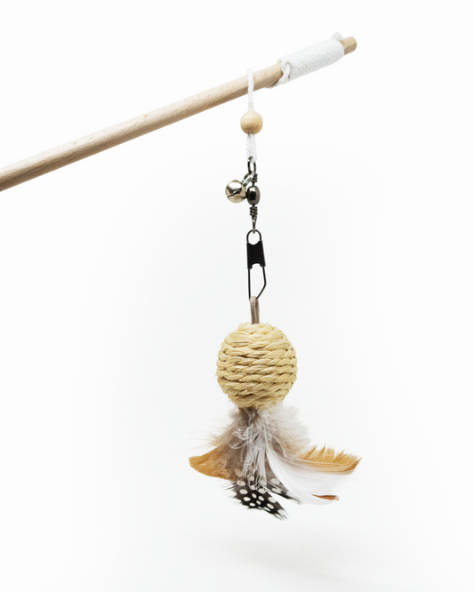 Crazycanne boule plumes