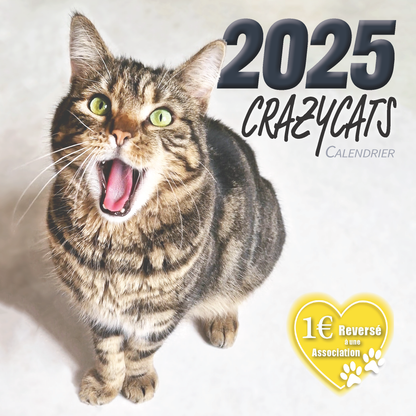 Calendrier 2025