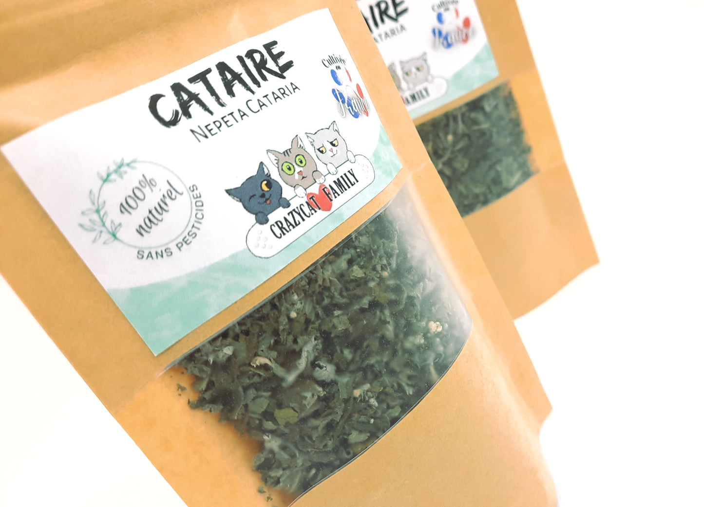 Cataire (menthe à chat) cultivée en France sans pesticides