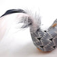 Fifi l'oiseau gris