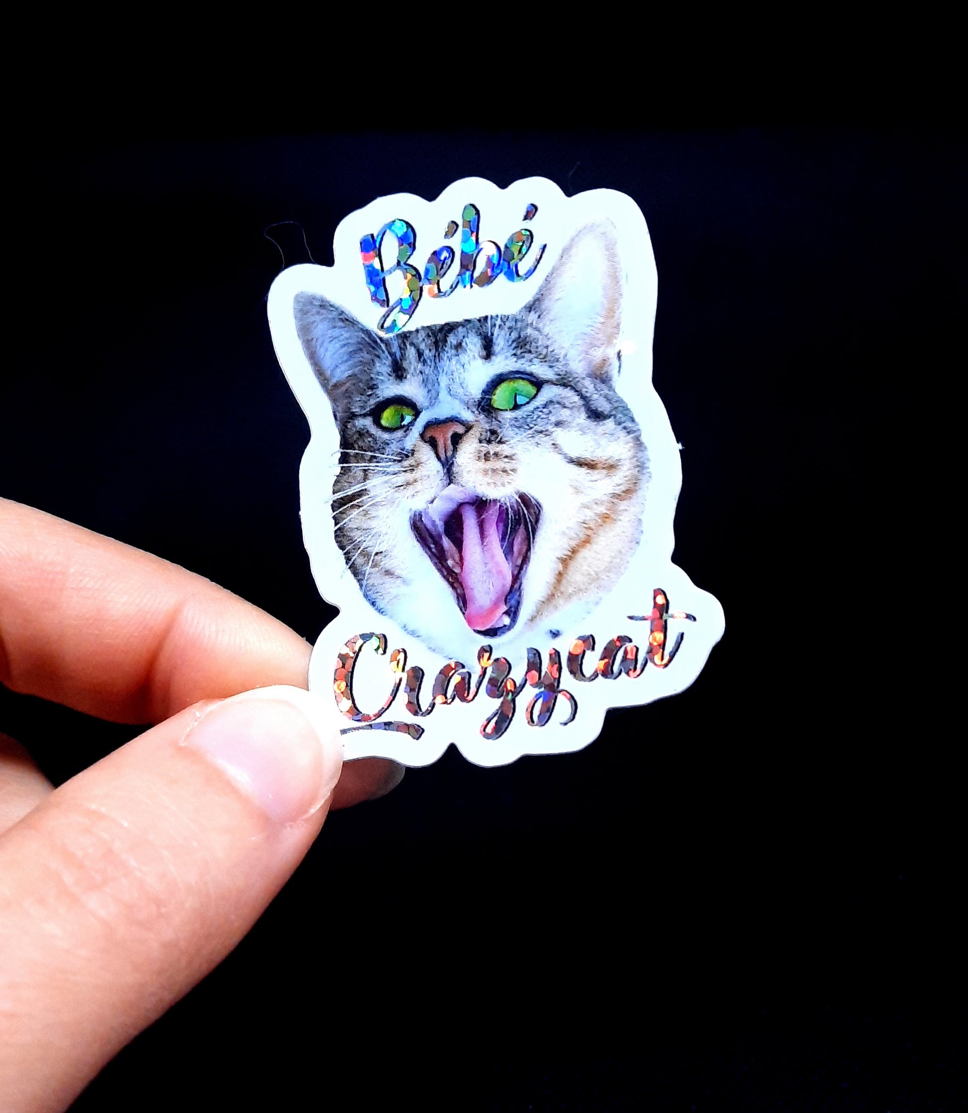 Sticker Bébé Crazycat paillettes